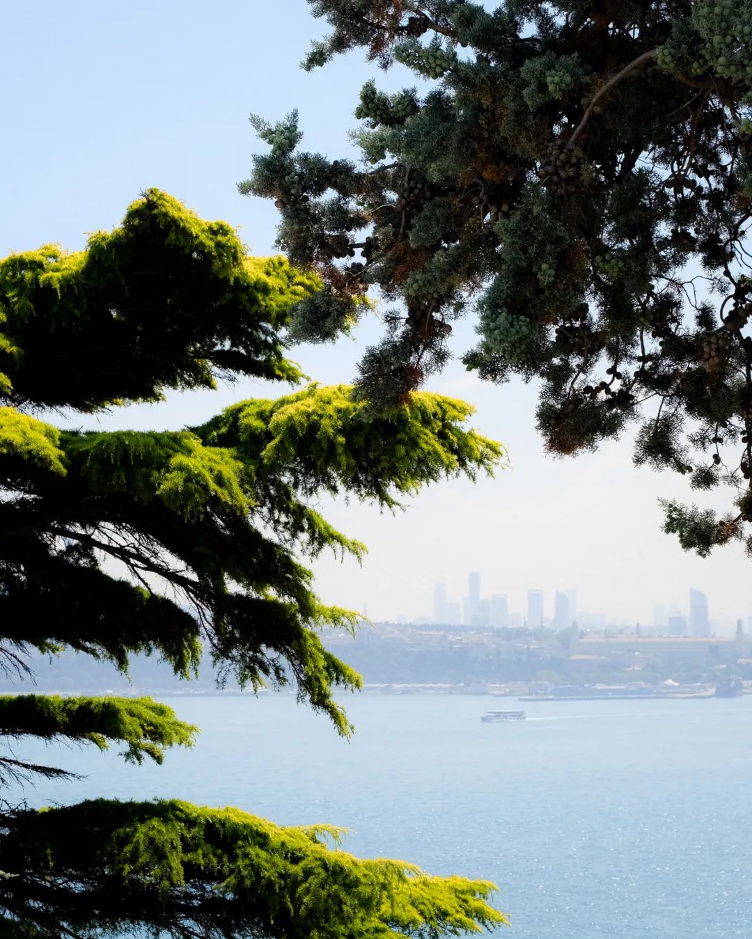 七言:享受当下才是最好的活法