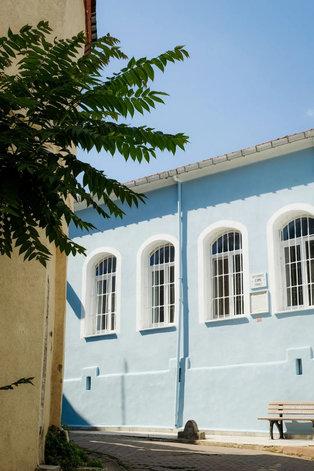 七言:享受当下才是最好的活法