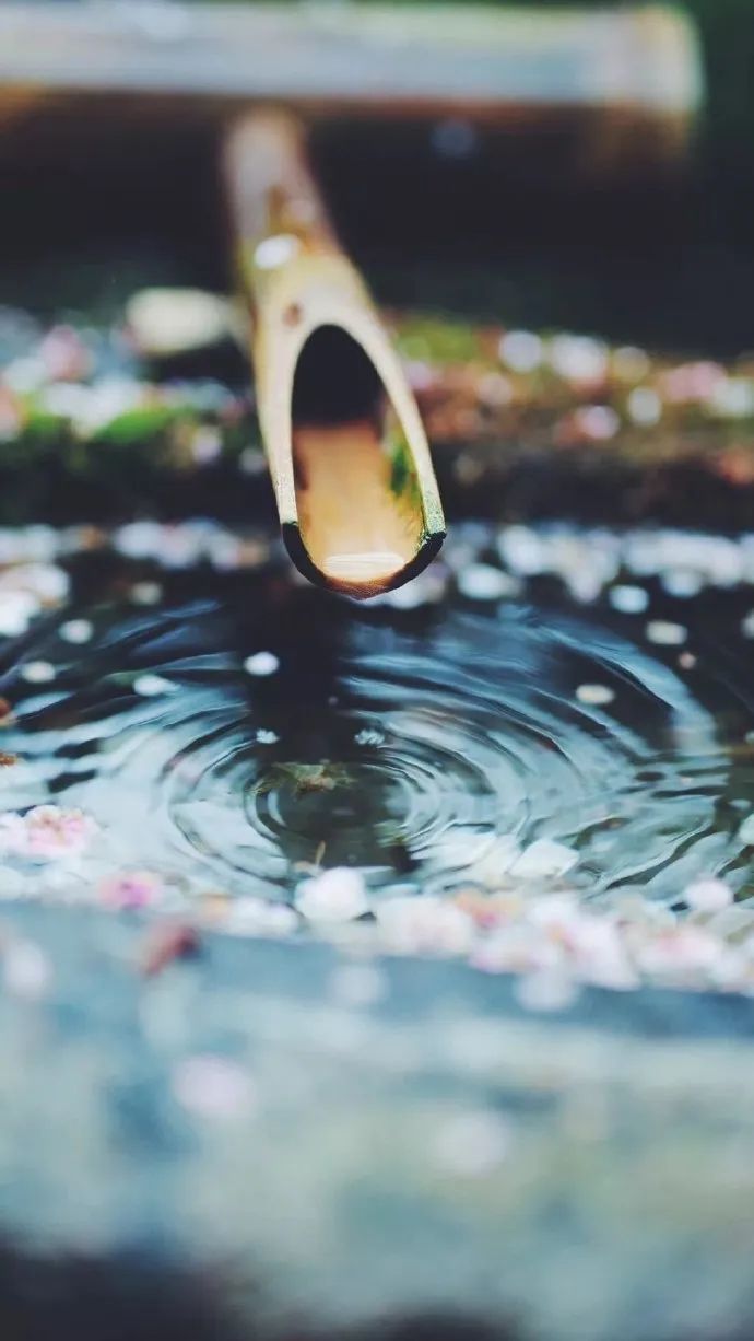 七言:享受当下才是最好的活法