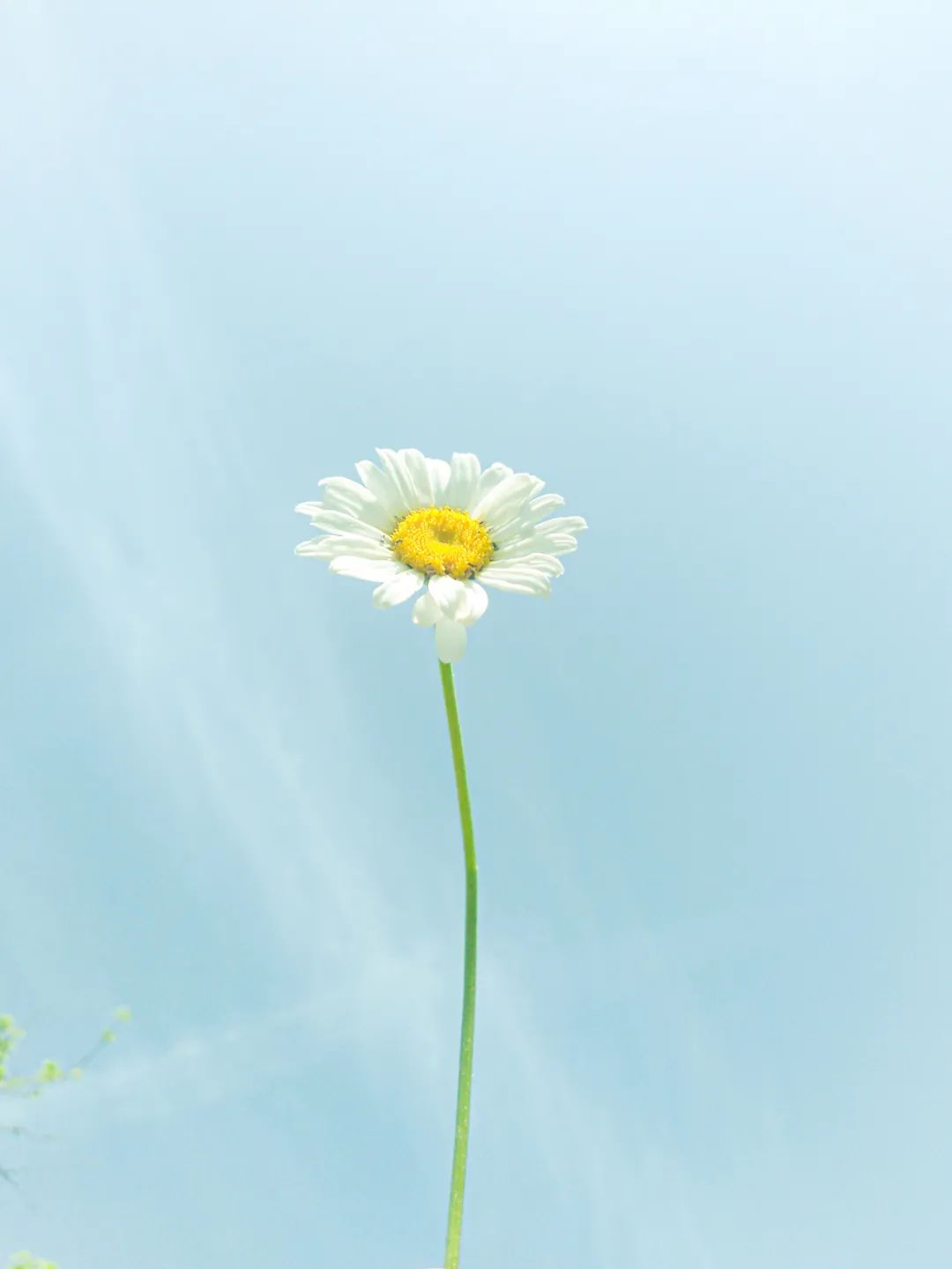 七言:别让世俗淹没生活的浪漫和热情