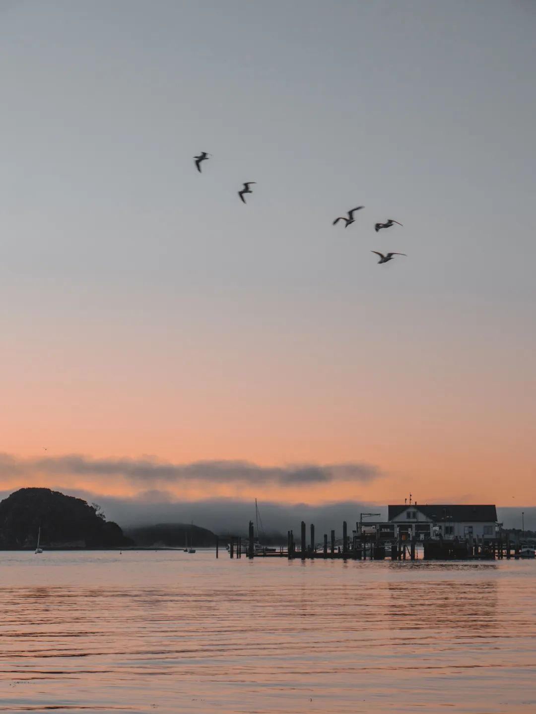 七言:再努力一下,美好就会如约而至