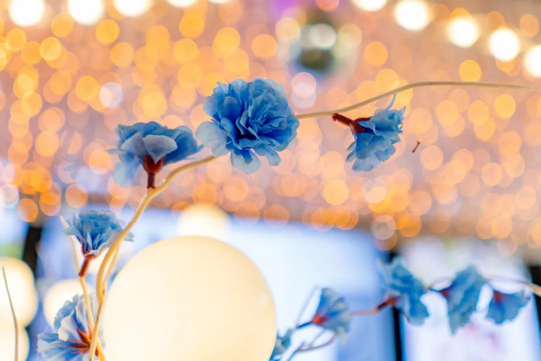 七言:你的每天都是人生最年轻的一天