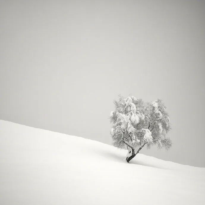 很潮很犀利的人生格言，发朋友圈引人深思！
