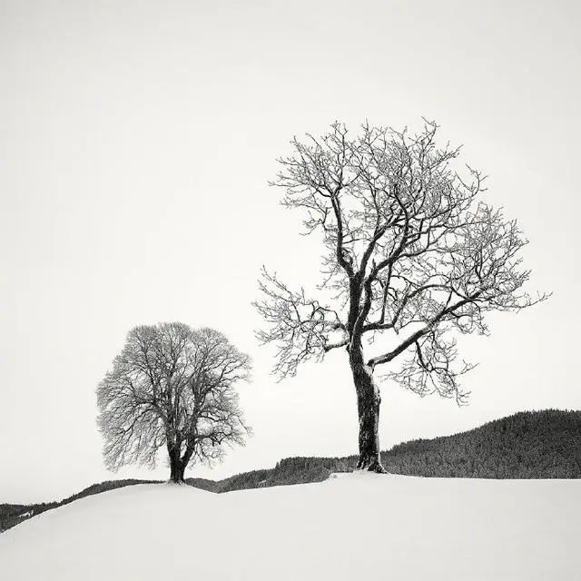 很潮很犀利的人生格言，发朋友圈引人深思！