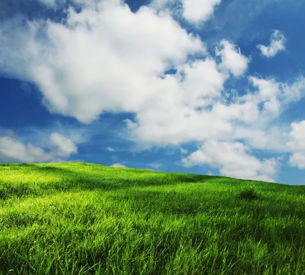 很冲击心灵的人生感悟,字字千金,富含哲理!