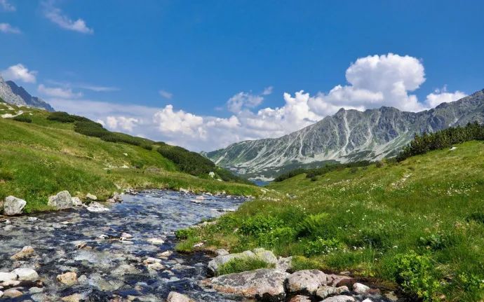 很冲击心灵的人生感悟,字字千金,富含哲理!