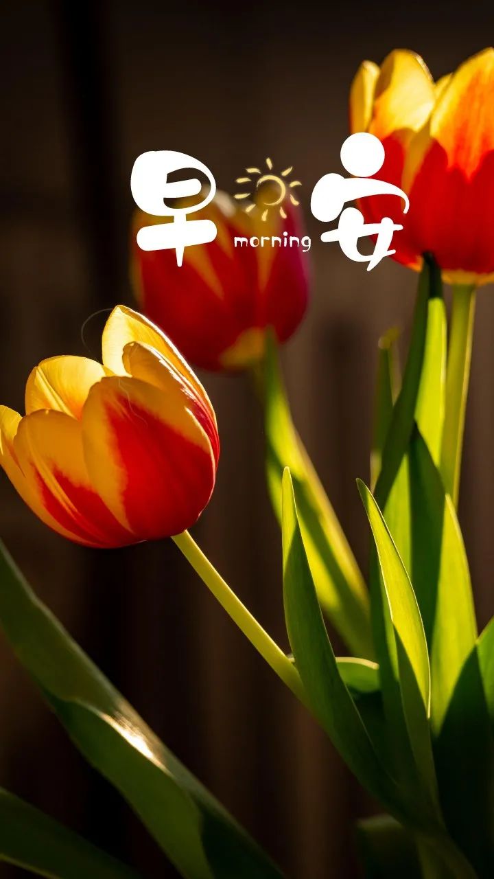 七言：怕，你就会输一辈子