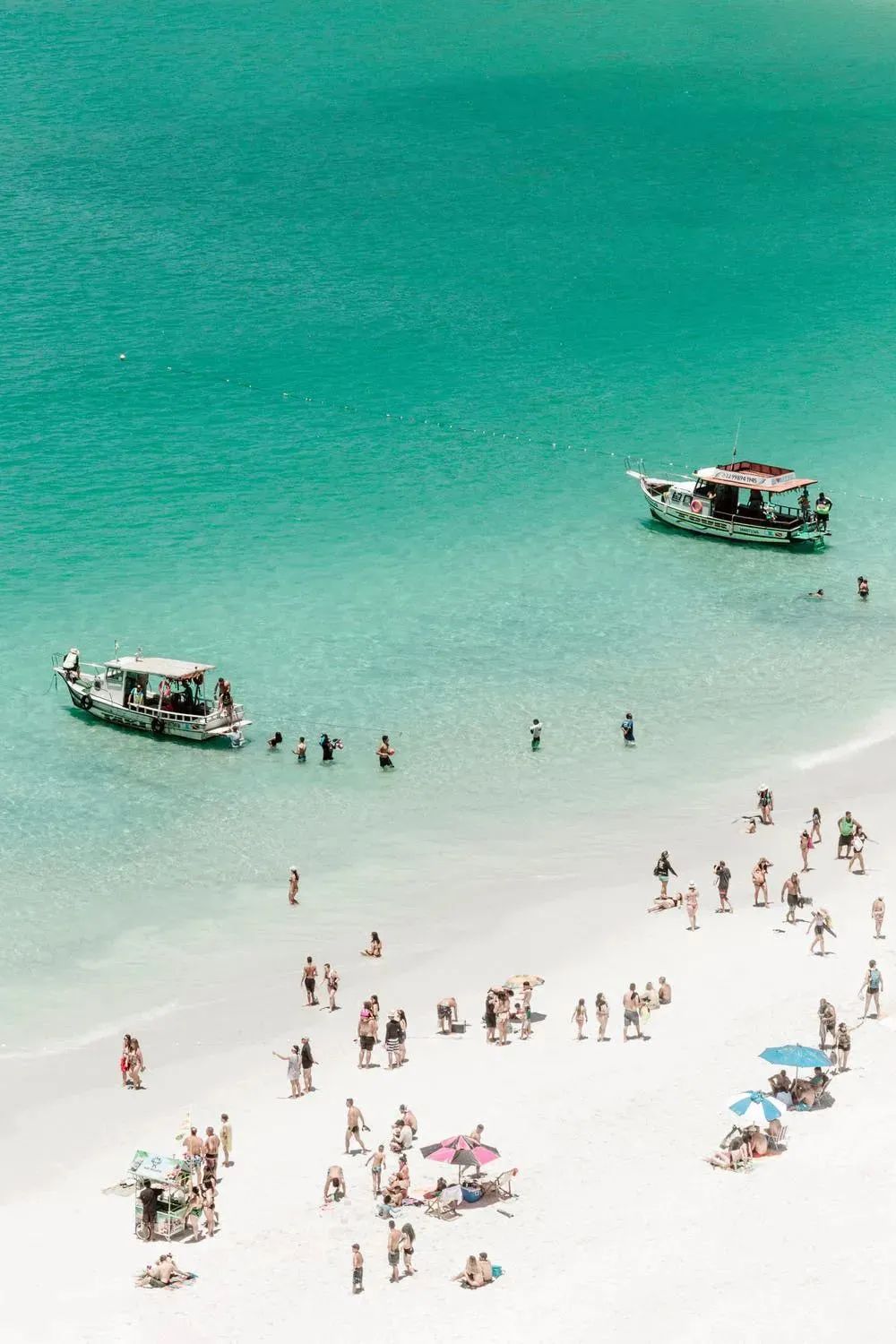 七言：你不妨大胆一些，去爱一个人