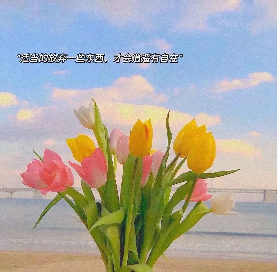 七言：你不妨大胆一些，去爱一个人