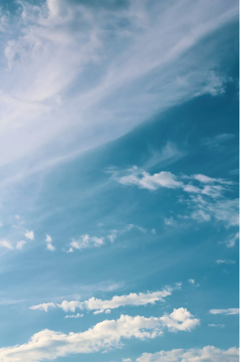 七言:朋友,秃头对您太不好看