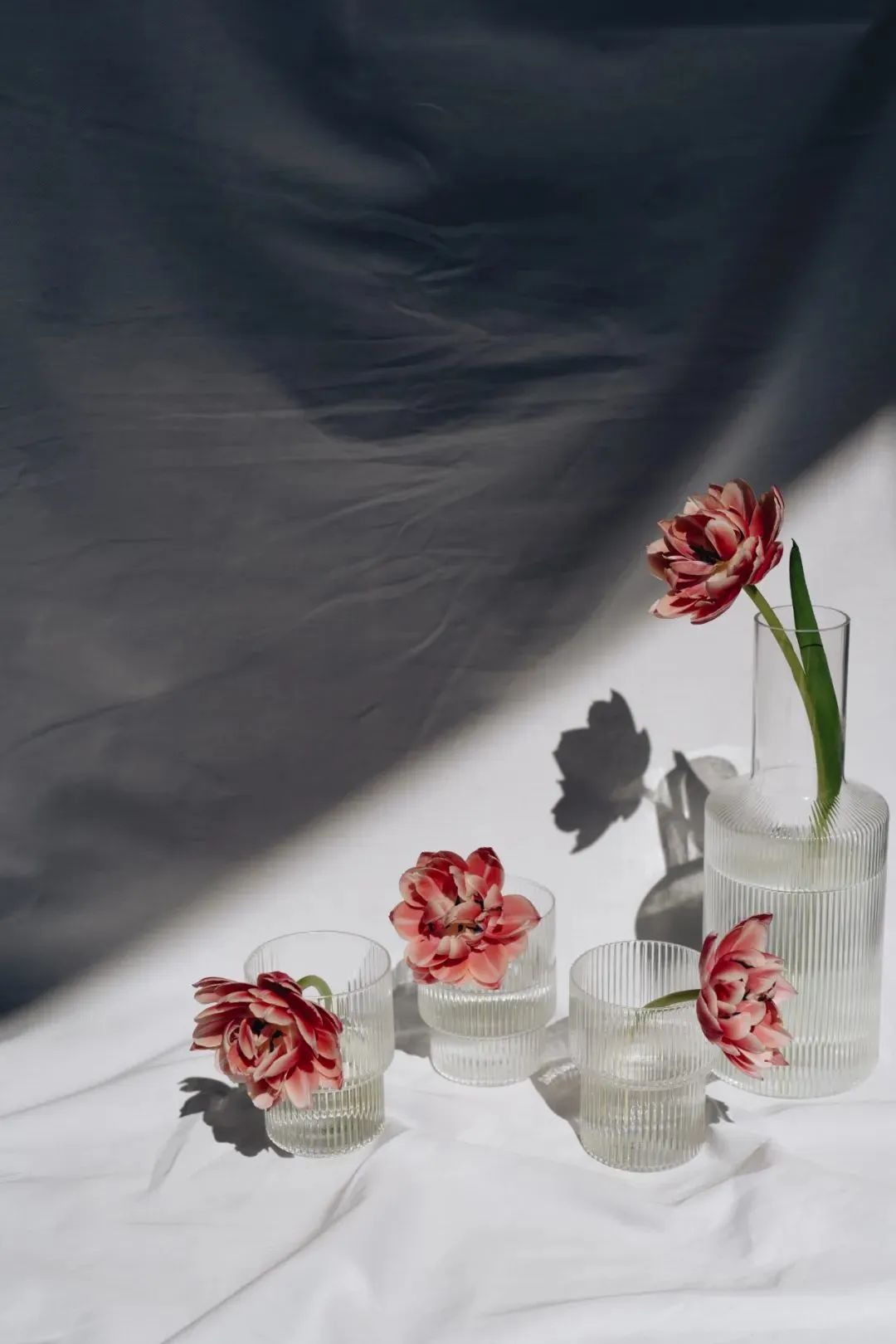 七言:朋友,秃头对您太不好看