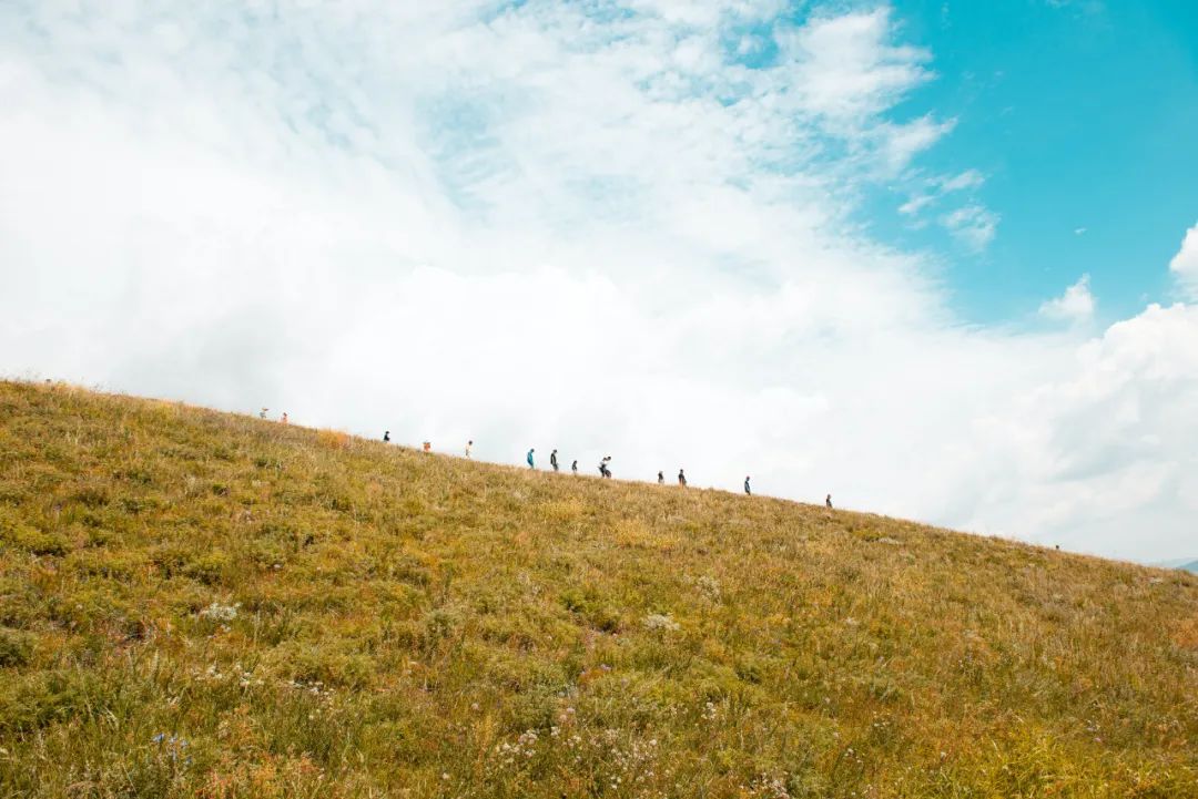 七言：人是不能太闲的