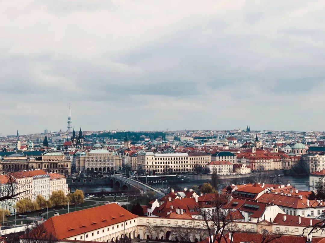 七言：要么梦见生活， 要么落实生活