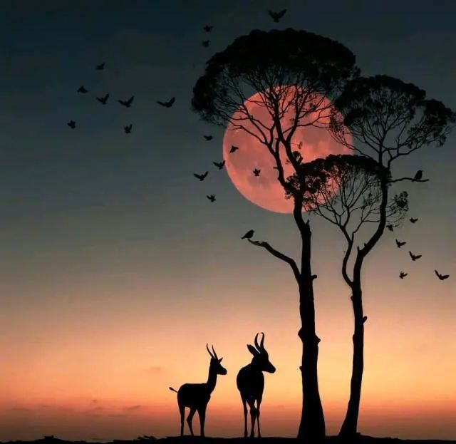 十一月最精辟的心灵鸡汤语录，句句深入人心！