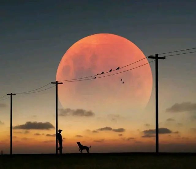 十一月最精辟的心灵鸡汤语录，句句深入人心！