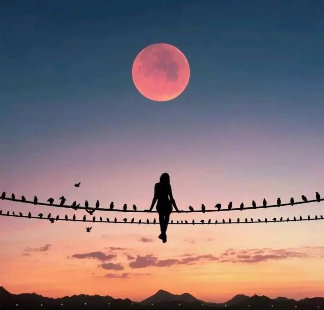 十一月最精辟的心灵鸡汤语录，句句深入人心！