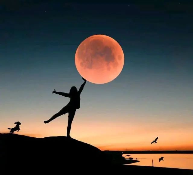 十一月最精辟的心灵鸡汤语录，句句深入人心！