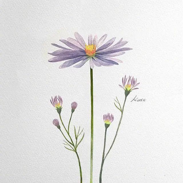 让人深有感触的鸡汤语录，总有一句入人心坎！