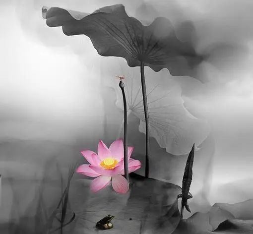 最精辟最现实的人生感悟文案,发朋友圈引人共鸣!