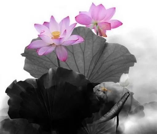 最精辟最现实的人生感悟文案,发朋友圈引人共鸣!