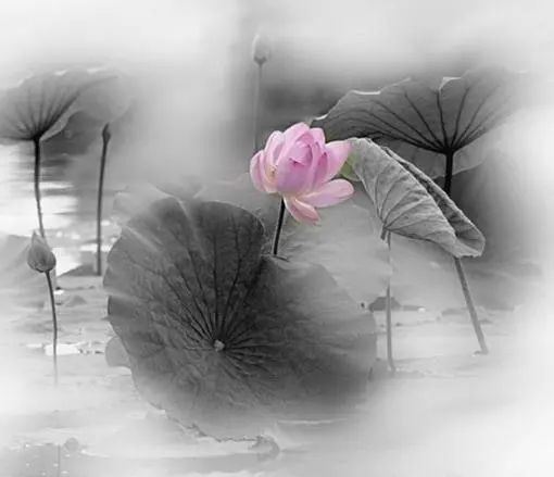 最精辟最现实的人生感悟文案,发朋友圈引人共鸣!