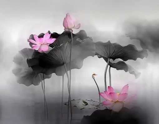 最精辟最现实的人生感悟文案,发朋友圈引人共鸣!