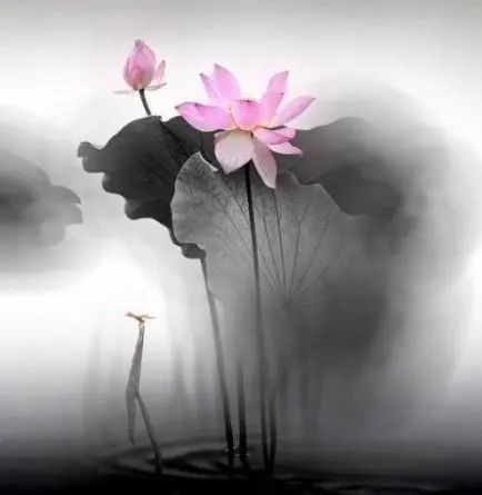 最精辟最现实的人生感悟文案,发朋友圈引人共鸣!