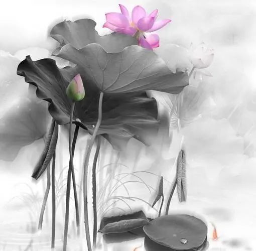 最精辟最现实的人生感悟文案,发朋友圈引人共鸣!