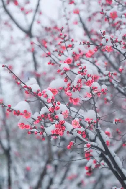 不要回头看,余生每一天都是重生,向前走,遇见春暖花开