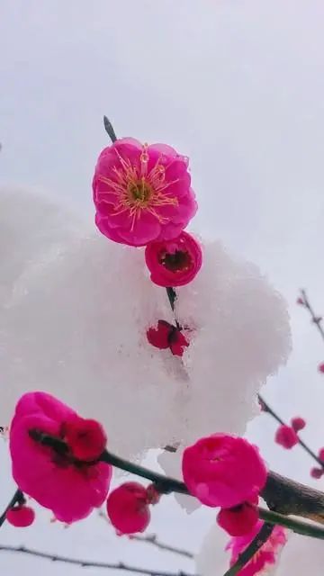 不要回头看,余生每一天都是重生,向前走,遇见春暖花开