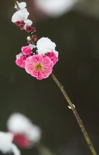 不要回头看,余生每一天都是重生,向前走,遇见春暖花开