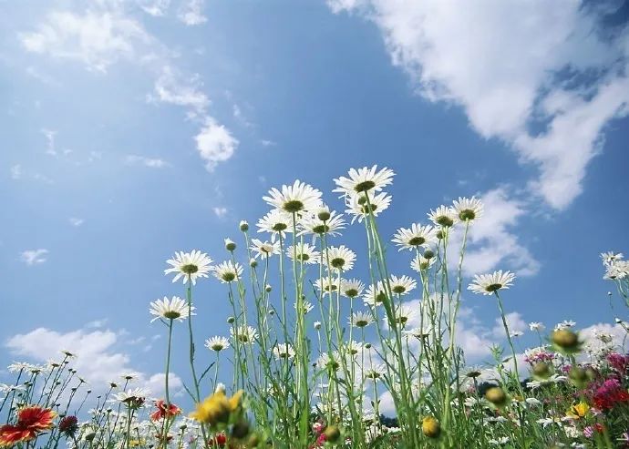 21句很深刻的人生格言，发朋友圈引人深思！