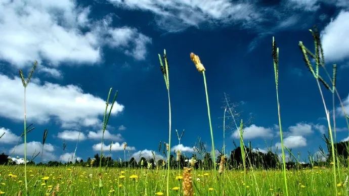 21句很深刻的人生格言，发朋友圈引人深思！