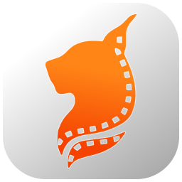 免费蓝光午夜大片