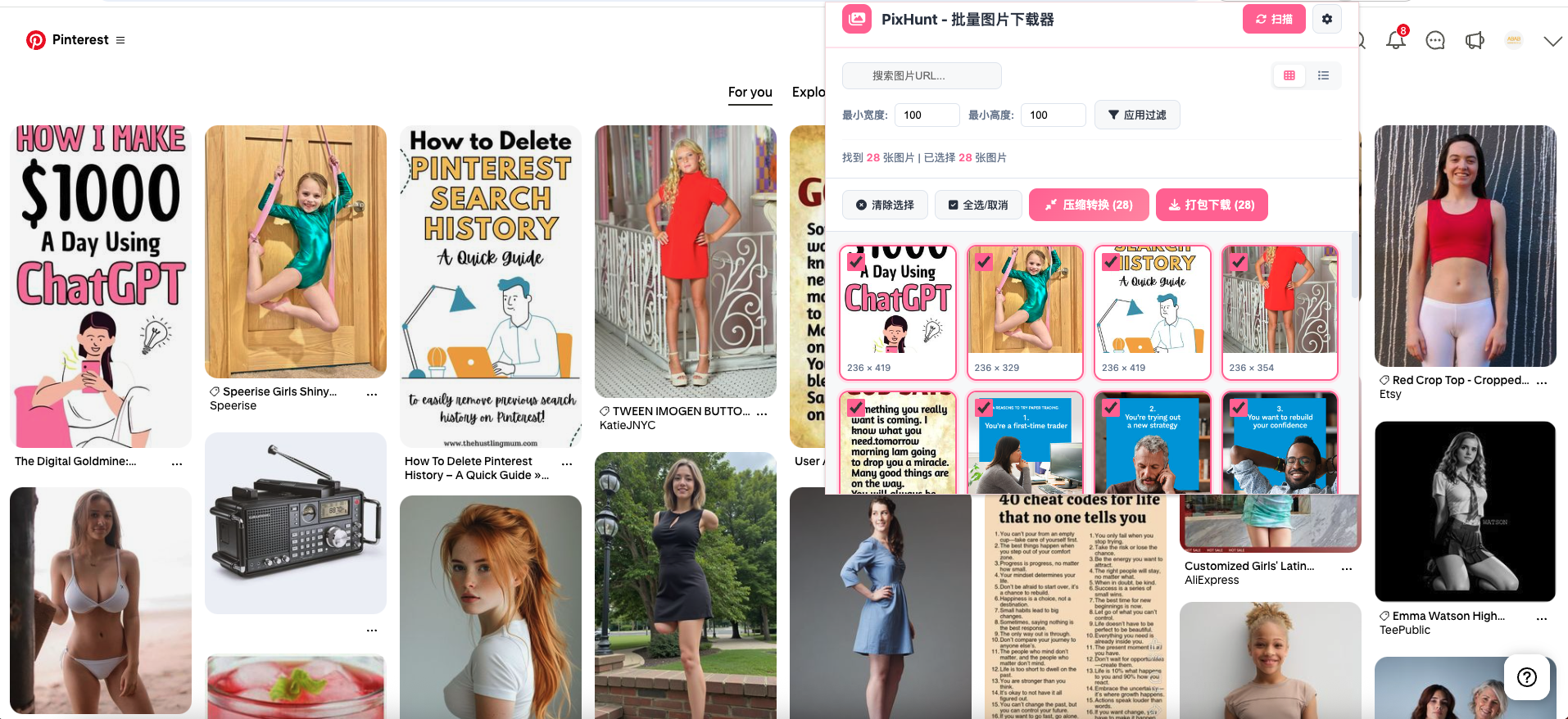 PixHunt：一款批量图片下载器