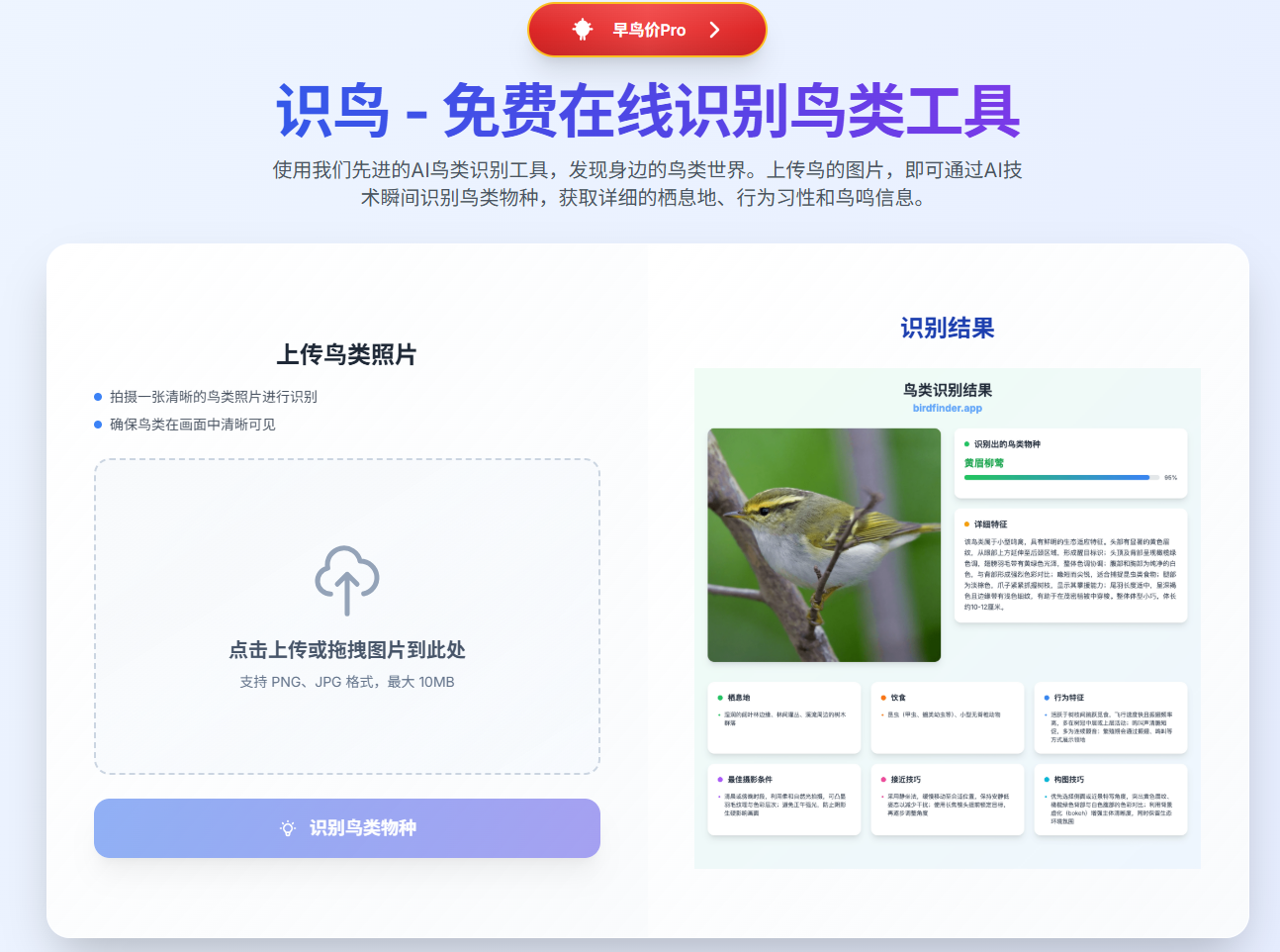 识鸟：一个AI 识鸟神器，只需上传一张鸟的照片，它就能瞬间告诉你鸟的种类、习性、栖息地